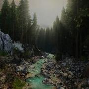 Cryengine 5 Forest Cinematic Fly Through