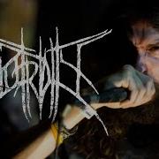 PUTRIDITY PORTRAIT OF A SOILED INNOCENCE LIVE IN JAKARTA 2025