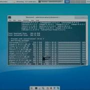 How Can Be Taken And Recorded Screencast In Arch Linux