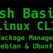 Package Management Debian Ubuntu Bash Basics Linux CLI