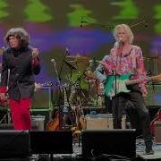 The Seeds Pushin Too Hard Lenny Kaye Paul Kopf Daryl Hooper The Seeds Wild Honey NUGGETS
