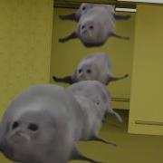 Bouncing Seals In The Backrooms
