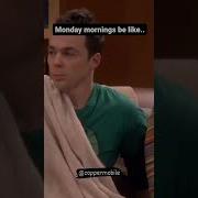The One With The Monday Tbbt Memes Sheldoncooper
