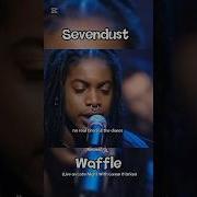 Sevendust Waffle Sevendust Lyrics Metal Rock Lyrics Live Numetal