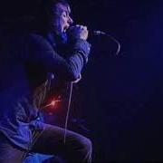 Karnivool Mauseum Live In Sydney Moshcam