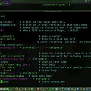 Программирование сокетов Python с многопоточностью