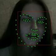 Face Landmarks