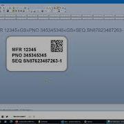 Bartender IUID Template Demo Part 5 User Data Input Forms