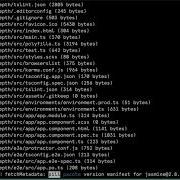 Angular Components In Depth 2 Setting Up