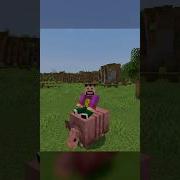 Ride All Mobs Minecraft