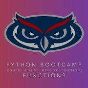 Functions Module 4 Python Bootcamp