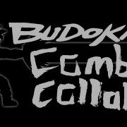 Budokai Combo Collab Community Combo Exhibition