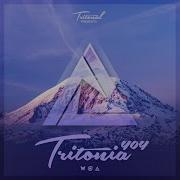 Everything Tritonia 404