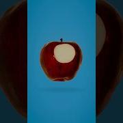 Hidden Patterns Inside Fruit