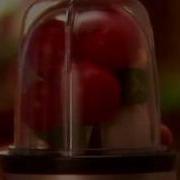 The Magic Bullet Blender