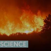 Data Science Capstone Project Using Satellite Imagery To Fight Forest Fires