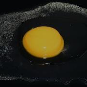 Egg Time Lapse