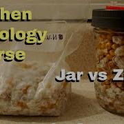 Jar Vs Ziploc Grain Spawn Time Lapse