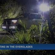 Hunters Hit Everglades For Annual Florida Python Challenge