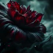 Close Enough Gothic Rock Lyrics Video