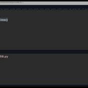 Python Level 1 Groundwork 5B Time Module