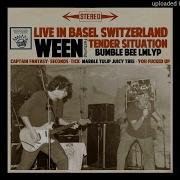 Ween Papa Zit Live In Switzerland 1990