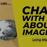 Image Captioning And Question Answering Using BLIP 2 Model