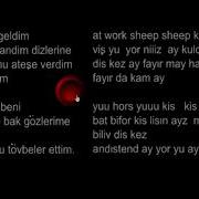 Flashberk Tarkan Animasyon