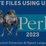 Perl Programming On Windows Unlink Files 2023
