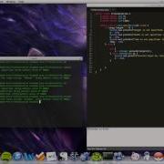 Java FireSimulation Part 2 Of 10 Command Line Arguments