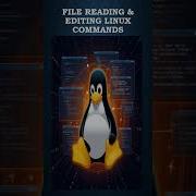 Basic Linux Commands Every Beginner Should Know Part3 File Editing Linuxforbeginners