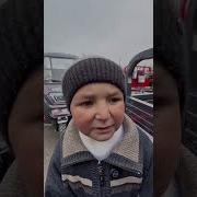 Gnomchani Ustaxonadagi Sarguzashtlari Haziluz