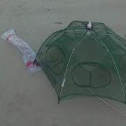 With This Foldable Mesh Bait Trap You Won T Ever Pay For Live Bait Again
