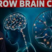 Renew Protect Your Brain Cells Brain Derived Neurotrophic Factor Dr Berg