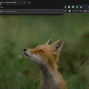 Creating A Flask App Using PythonAnywhere Pt 1