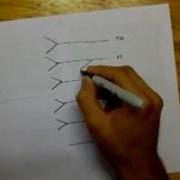 Drawing Lumbar Plexus Easy