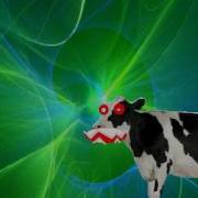 Cow Error 308