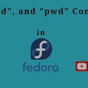 3 Basic Linux Command With Fedora 33 Workstation CD And PWD Command