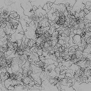 Steve S Generative Art Flow Fields 2 Chaos In Black And White