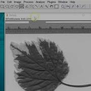 Metadata And Spatial Calibration In ImageJ