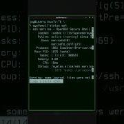 Linux Commands In 60 Seconds The Systemctl Command