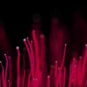 Trapcode Particular Test 002