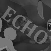 Animash Echo