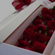 Neyim Kaldi Wmv