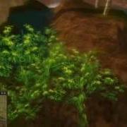 SRO Hotan Glitch OUTDATED DOESN T WORK