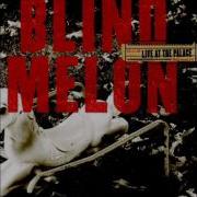 Blind Melon Time Live At The Palace
