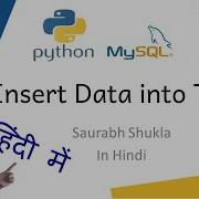 4 Python MySQL Inserting Data Into Table