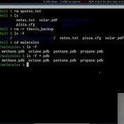 The Unix Shell Working With Files And Directories Part 2 Software Carpentry