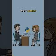 Что такое Python Самые часто задаваемые вопросы на собеседовании по Python 1 Python интервью