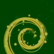 Magical Particles Green Screen